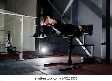 Back Extensor Muscles 的图像结果