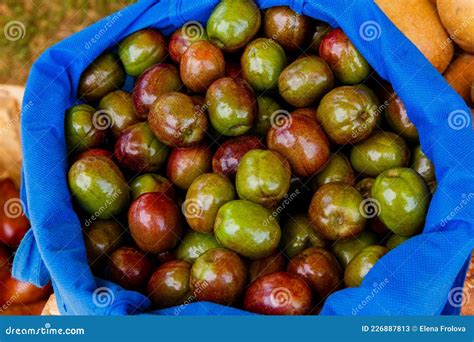 Jocote Spanish Plum - Spondias Purpura at the Asian Street Market Stock ...