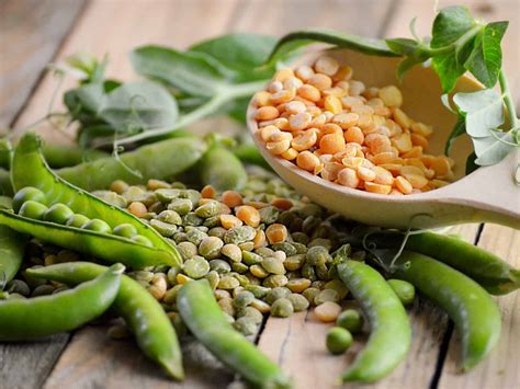 Legumes vs. Beans vs. Pulses: What’s the Difference? - Daring Kitchen