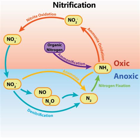 Image result for NMR Spectroscopy Explained