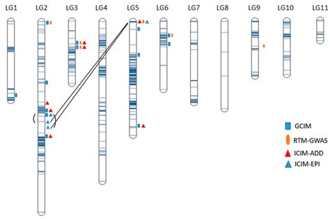 Quantitative Trait Locus Mapping of Marsh Spot Disease Resistance in ...