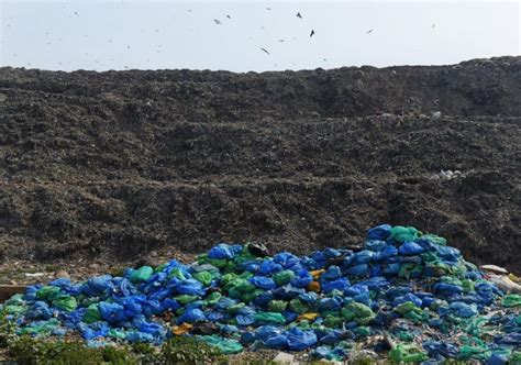 Bachaikari of Bhalswa: Narratives of Waste Pickers from a Delhi Landfill