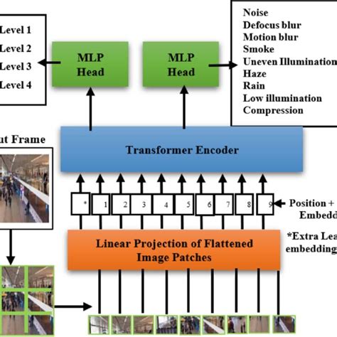 Vision Transformer 的图像结果