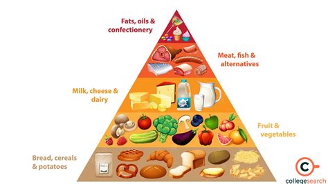 Food Variety 的图像结果