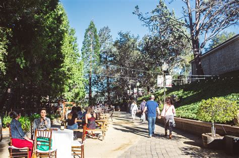 Best Santa Cruz Mountain Wineries For A Weekend Trip (With Photos!)