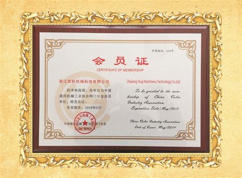 中国服务贸易协会专家委员会理事单位证书-内蒙古大学中蒙俄经济研究院