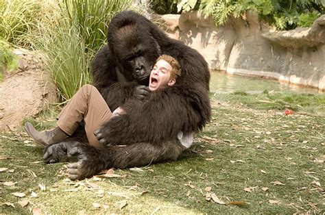 ShishirPatilgorilla