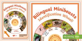 Bilingual Wildflowers Identification Wheel (teacher made)