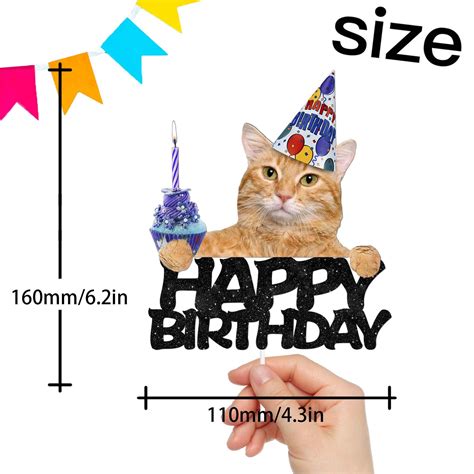 Cat Party Hat Tumblr