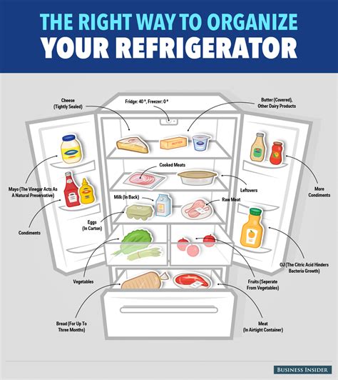Here's The Right Way To Organize Your Refrigerator | Fridge, Recipe finder, Refrigerator