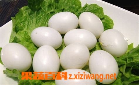 吃鸽子蛋的营养价值与功效_蔬菜知识_做法,功效与作用,营养价值z.xiziwang.net