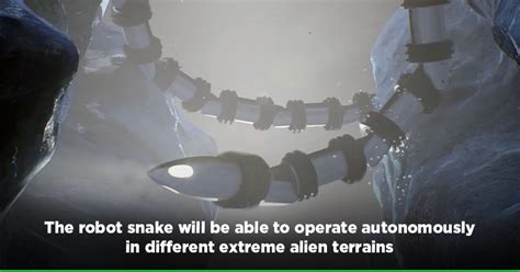 Space Robot 的图像结果