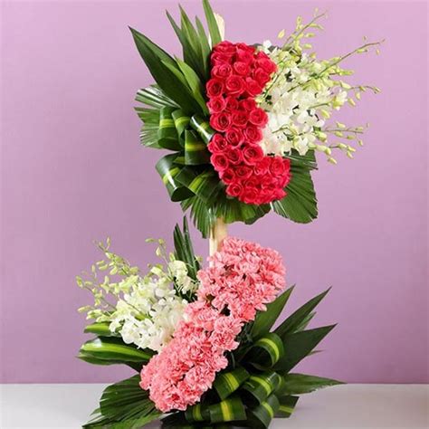 Send Red and Pink Roses Combo with Carnation Online - GAL23-110544 ...