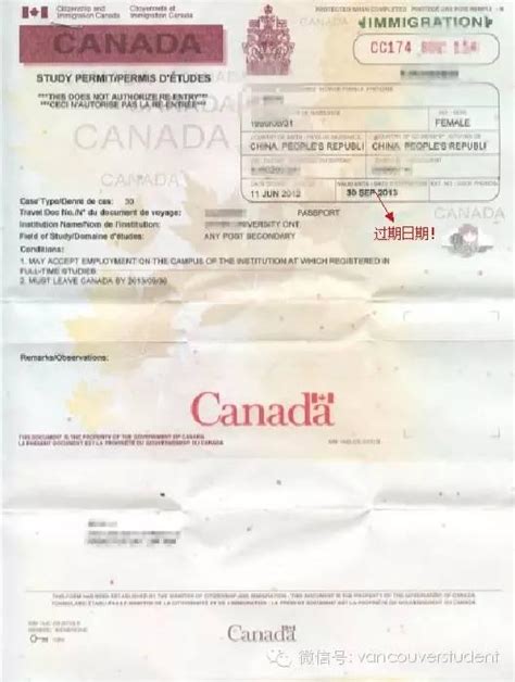 崩潰！加拿大簽證的審批速度太慢了，暑假還怎麼出去浪？ - 每日頭條