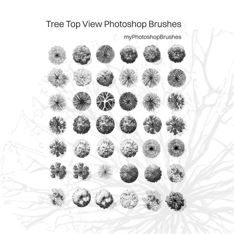 Tree Top View Photoshop Brushes - Free ABR Download | MyPhotoshopBrushes