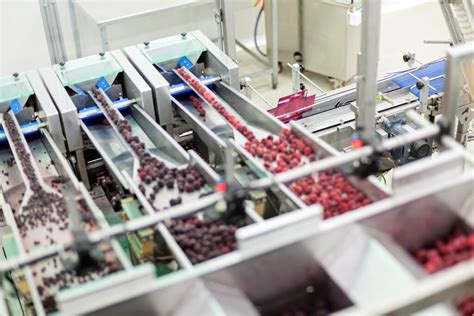 Manufacturing Food Products 的图像结果