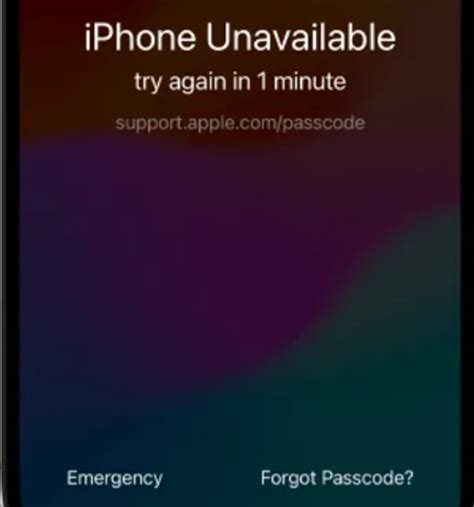 iPhone 11 Forgot Passcode 的图像结果