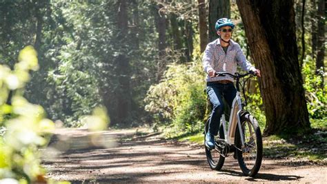 Electric Bike Display Settings 的图像结果