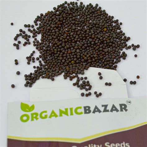 Buy Best Quality Mustard Seeds Online