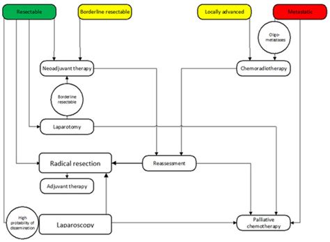 Current Approaches for the Curative-Intent Surgical Treatment of ...