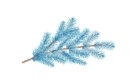 Pine Branch Png