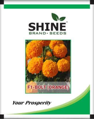 Marigold Bolt Orange F1 - Shine Brand Seeds, Genda | BigHaat