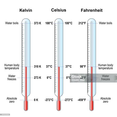 Skala Suhu Termometer Celsius Fahrenheit Dan Kelvin Ilustrasi Stok ...