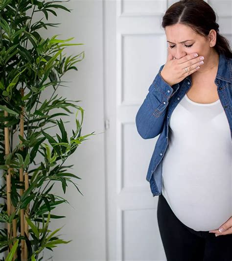 Cloudy Urine During Pregnancy: 6 Causes, Diagnosis & Treatment