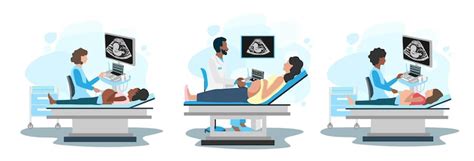 Abdominal ultrasound scans Vectors - Download Free High-Quality Vectors ...