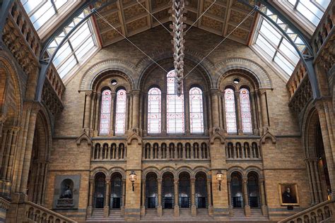 History Museum 的图像结果