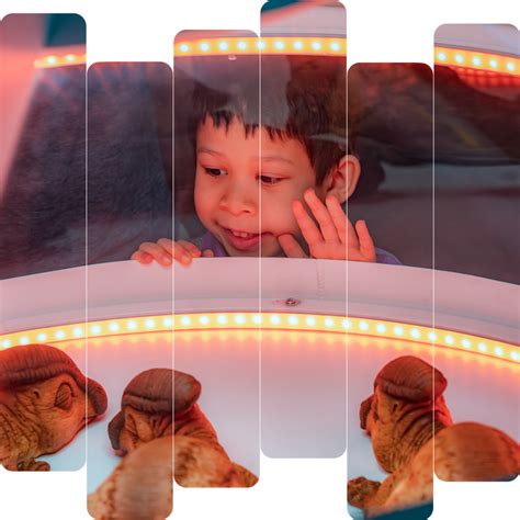 Neon Learn Java 的图像结果