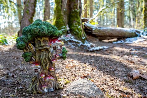 Exploring the New Gnome Trail in Maple Valley - Travelffeine
