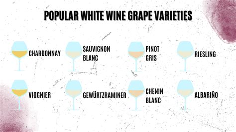 Ultimate Guide to White Wine for Enthusiasts | Wine Club