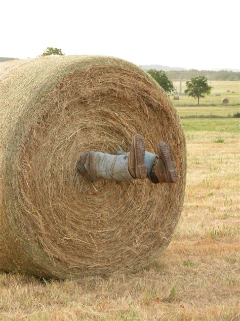 Hay Bales And Farm