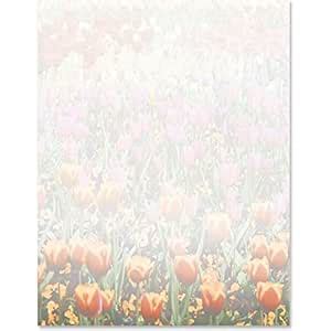 PaperDirect 4 Seasons Tulip Field Border Paper, Faded Multicolor Spring ...