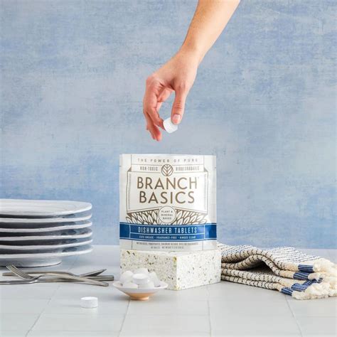 A Detailed and Honest Branch Basics Review