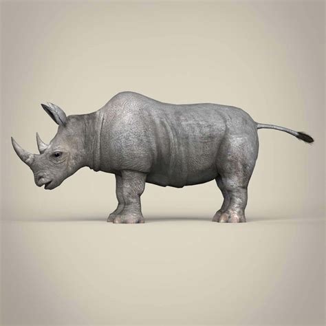 Rhinoceros - 3D Model by TreeWorld3d