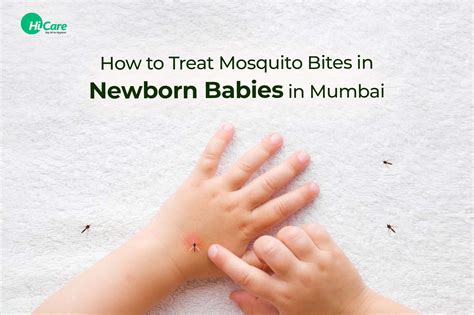 Best Tips to Treat Mosquito Bites in Newborn Babies | HiCare