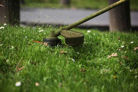 How to Use String Trimmer 的图像结果