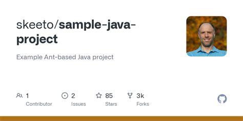 Java Sample Project 的图像结果