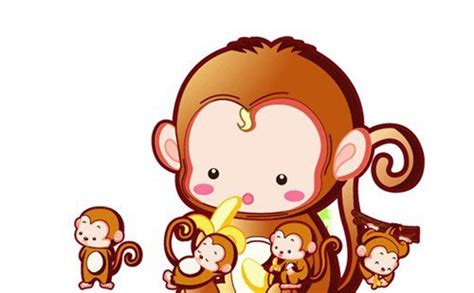 属猴的和什么属相配 ,2016年属猴整体运势,属猴人出生月的命运,属猴的出生年份_齐家网