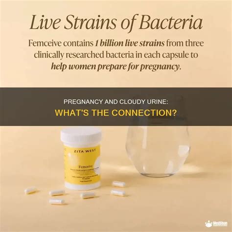 Pregnancy And Cloudy Urine: What's The Connection? | MedShun