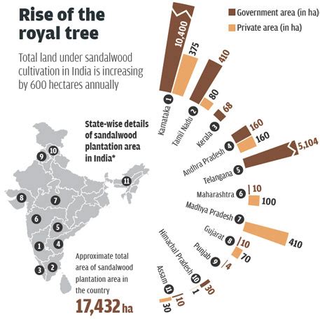 Return of Sandalwood Tree in India