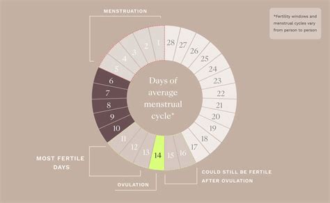 The Ultimate Guide When Trying to Conceive | Hertility