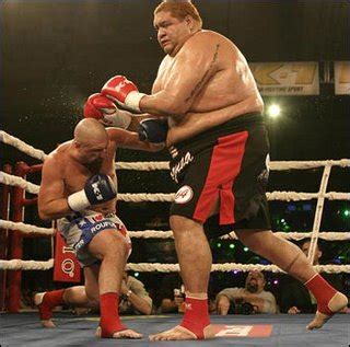 Funny Boxing 的图像结果