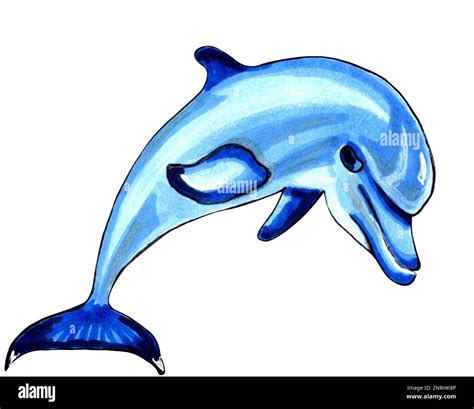Dolphin Color 的图像结果