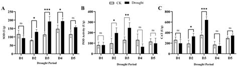 Physiological, Photosynthetic and Stomatal Ultrastructural Responses of ...
