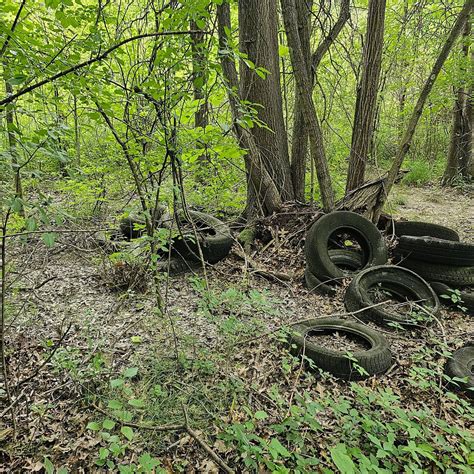 Tire Cleanup At The Healthy Hearts and Paws Project New Animal Shelter ...