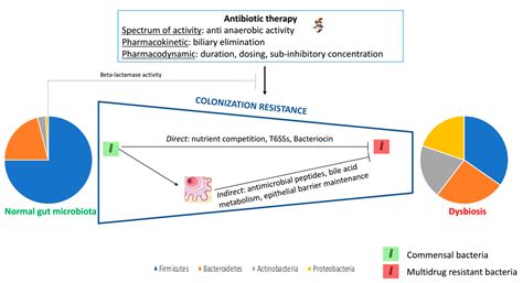 Antimicrobial Stewardship Program: Reducing Antibiotic’s Spectrum of ...