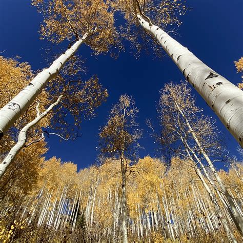 IMG_5496 | Maxine Mayer | Flickr